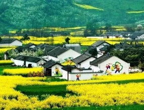 四部門印發(fā)《“十四五”鄉(xiāng)村綠化美化行動方案》，哪些亮點值得關(guān)注？