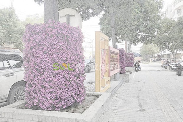 行道樹(shù)景觀設(shè)計(jì)效果圖