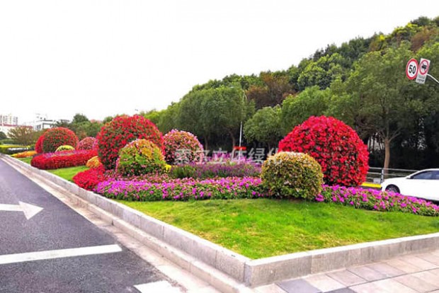 花球景觀設(shè)計(jì)實(shí)際效果圖