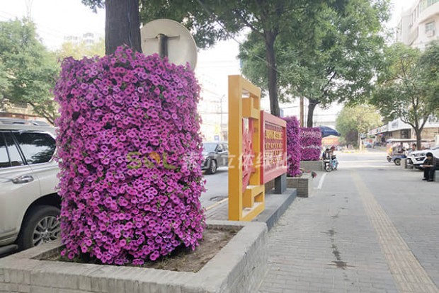 行道樹(shù)景觀設(shè)計(jì)實(shí)際效果圖